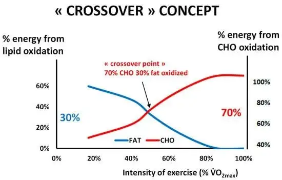 Graphique crossover concept glucides vs lipides - oxydation graisses trail running